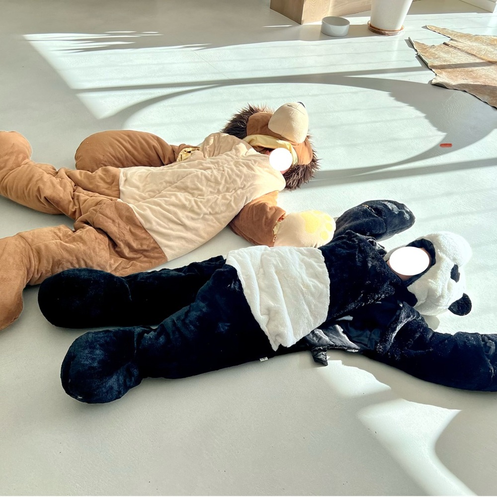 Panda Plush Costume Sleeping Bag